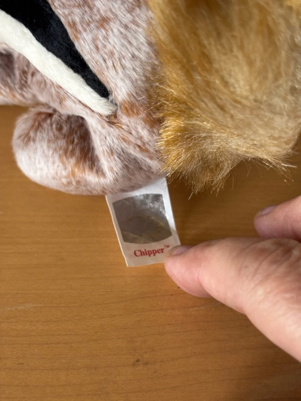 Ty Beanie Babies name Chipper Fins and Slow Poke